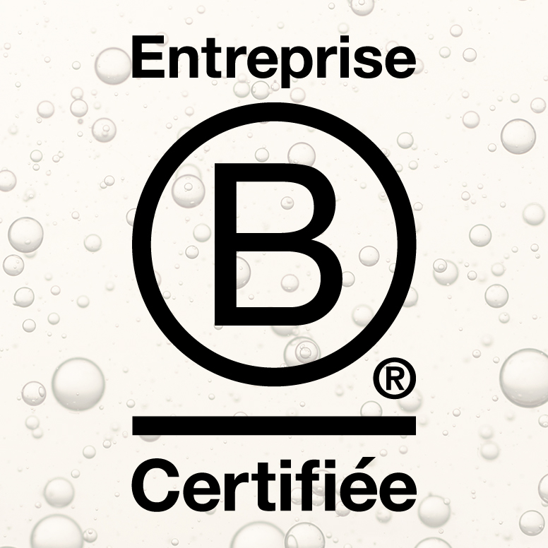 logo B Corp